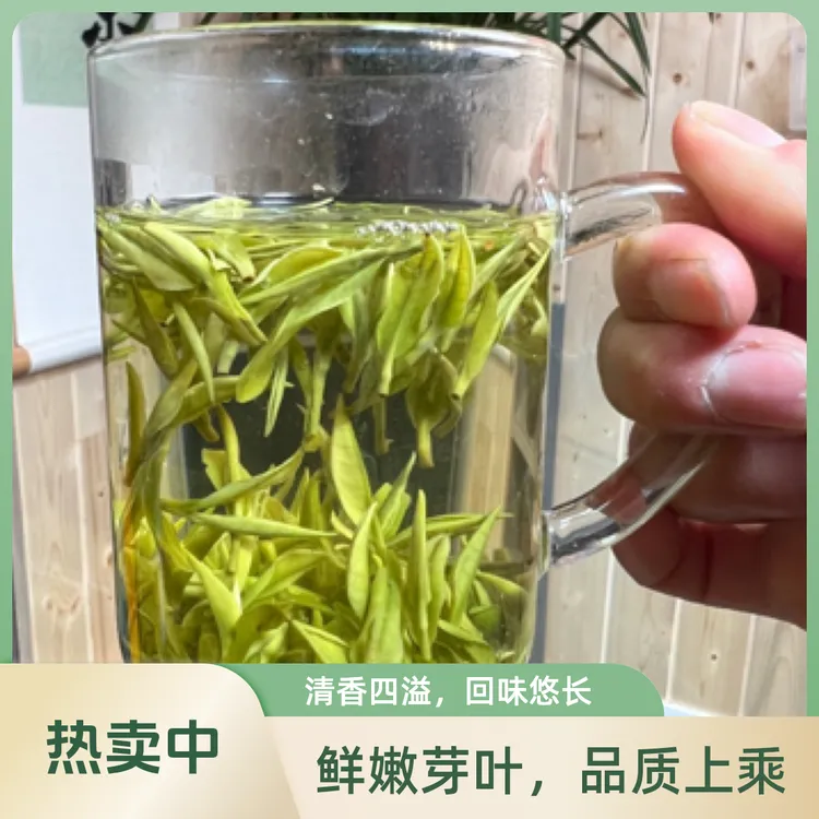 【美女】安吉白茶坞高山特产原产地春茶鲜爽礼盒茶叶新茶兰花香