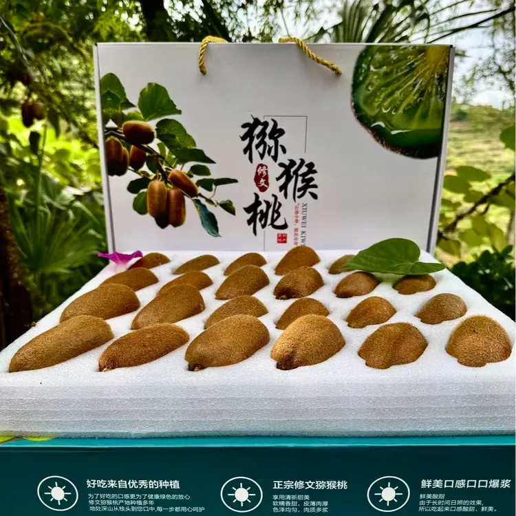 【精品礼盒】贵州修文猕猴桃贵长猕猴桃高山新鲜高端水果现摘现发
