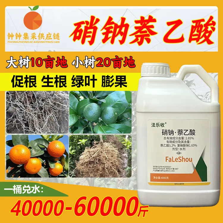 催老师-暴力生根硝钠萘乙酸调节剂柑橘种植生根爆根催芽促果壮苗