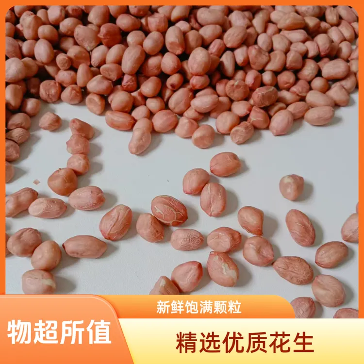 新上市现脱壳河南南阳大白沙生花生米新鲜农产品下酒菜