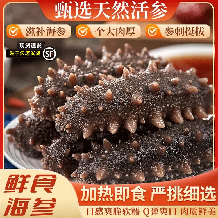 【拍2斤送1斤】正宗大连辽刺参6头-8头/斤 鲜食海参 独立包装即食