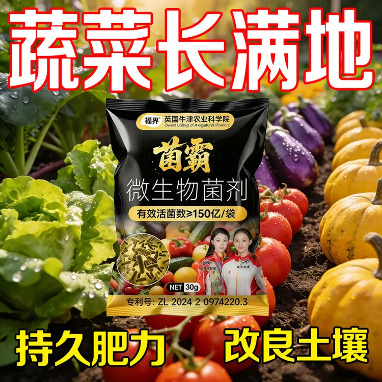 种菜专用营养肥料防病害促生根辣椒大蒜茄子产量猛增蔬菜盆栽通用商品图