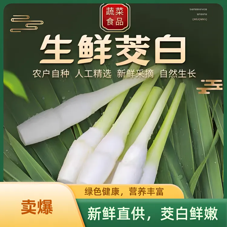 上海青浦练塘茭白新鲜玉米茭瓜笋芦笋现摘高瓜菰时令蔬菜产地直发