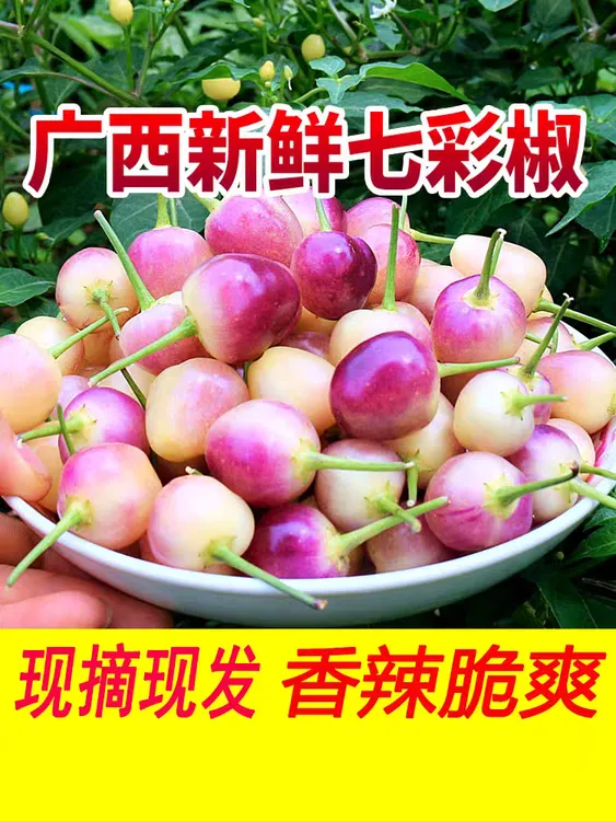 广西七彩泡椒网红泡椒七彩辣椒五彩椒可腌制泡椒剁椒灯笼椒
