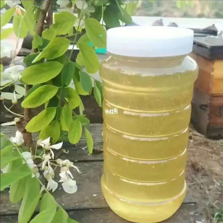 庆蜂翔歌蜂产品【洋槐蜜】