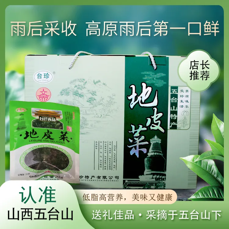 山西五台山特产地皮菜地软地衣地木耳