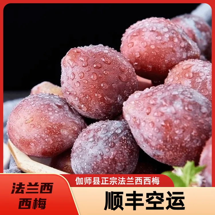 新疆伽师县正宗法兰西西梅