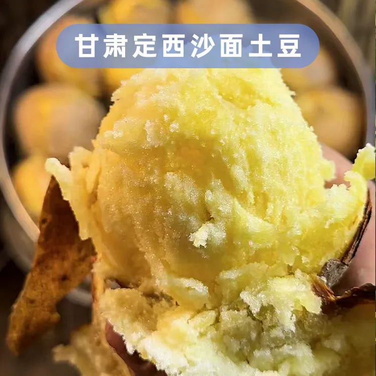 甘肃定西黄皮黄心高山旱沙地粉糯现挖现发土豆