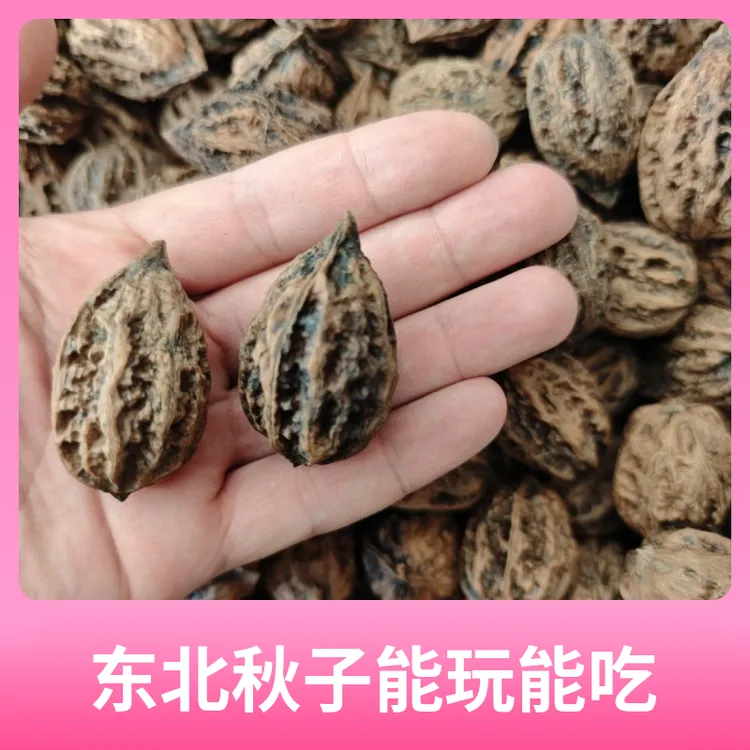 【东北核桃秋子】东北野生秋子(一整箱正宗)能配对配对