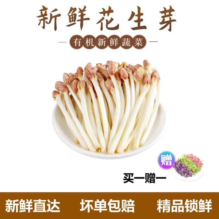 【买一赠一】新店福利现摘现发新鲜花生芽嫩香蔬菜花生苗菜酒店美食