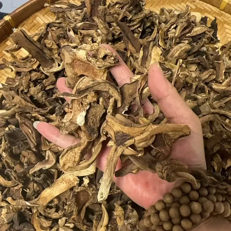 武陵山珍野生美味牛肝菌干货自然晾晒深山珍稀菌菇