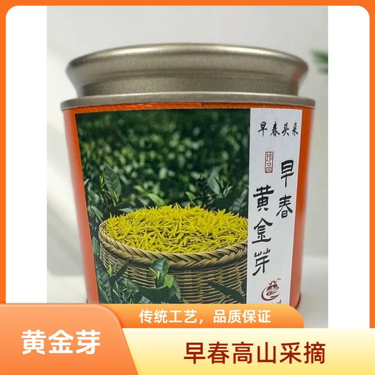 源堡鸿黄金芽2025早春高山采摘绿茶鲜爽耐泡茶叶绿茶