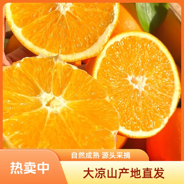 【雷波脐橙】大凉山-雷波县-正宗雷波脐橙应季现摘现发坏果包赔