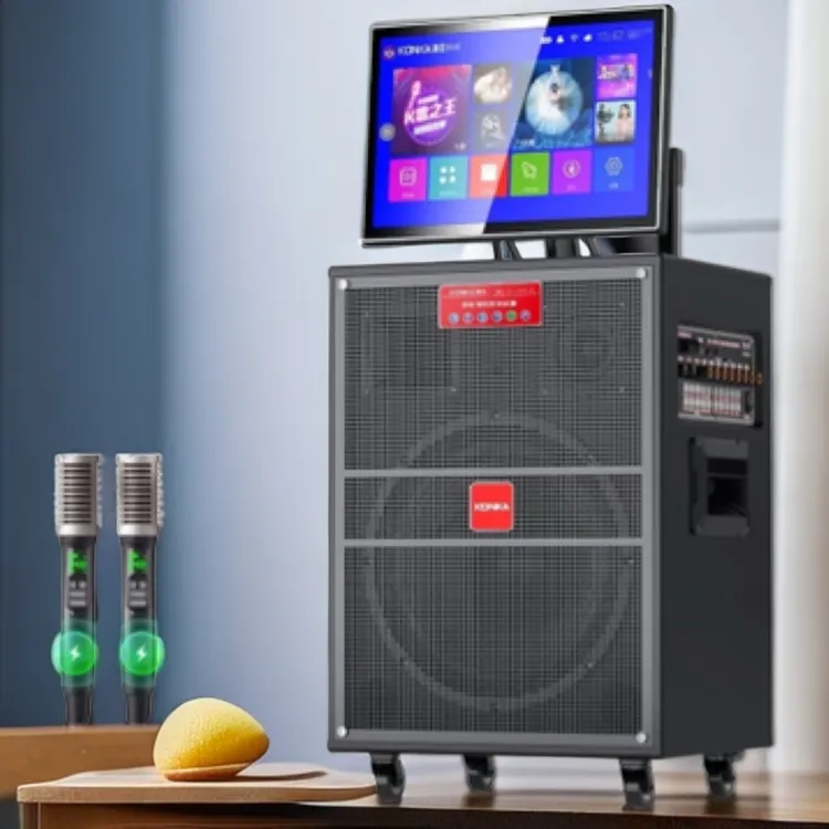 康佳正品 新款语音控制视频音响专业WIFI链接高清触屏