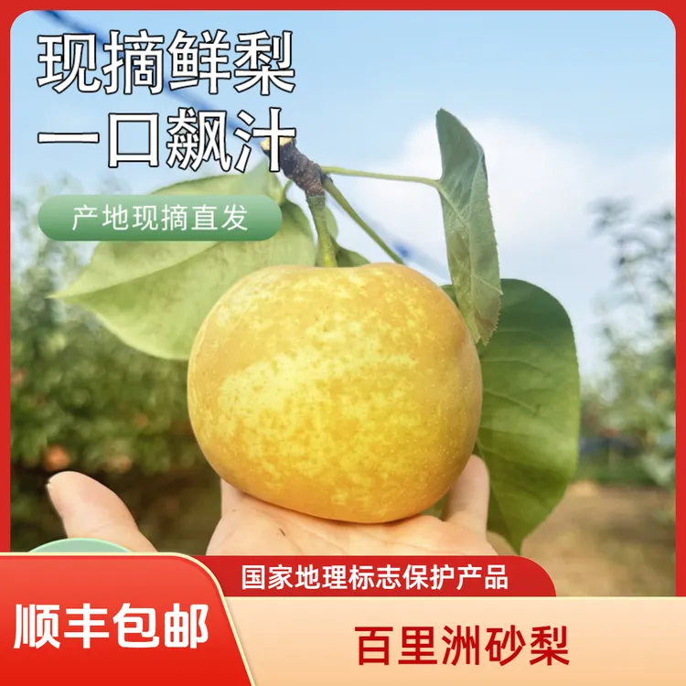 百里洲砂梨 国家地理标志保护产品 新鲜当季 翠冠 顺丰包邮