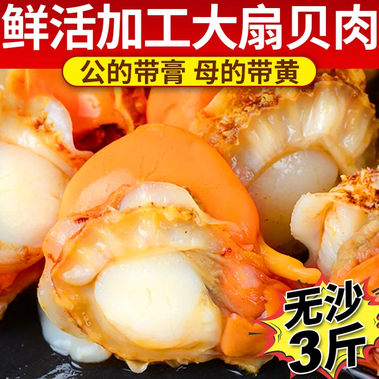 【头茬新货】扇贝肉新鲜带膏带黄扇贝肉鲜活特大无泥无沙海鲜红贝肉