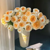 【云舍花卉】【光辉】多头玫瑰任意两单或以上包邮发货鲜切花