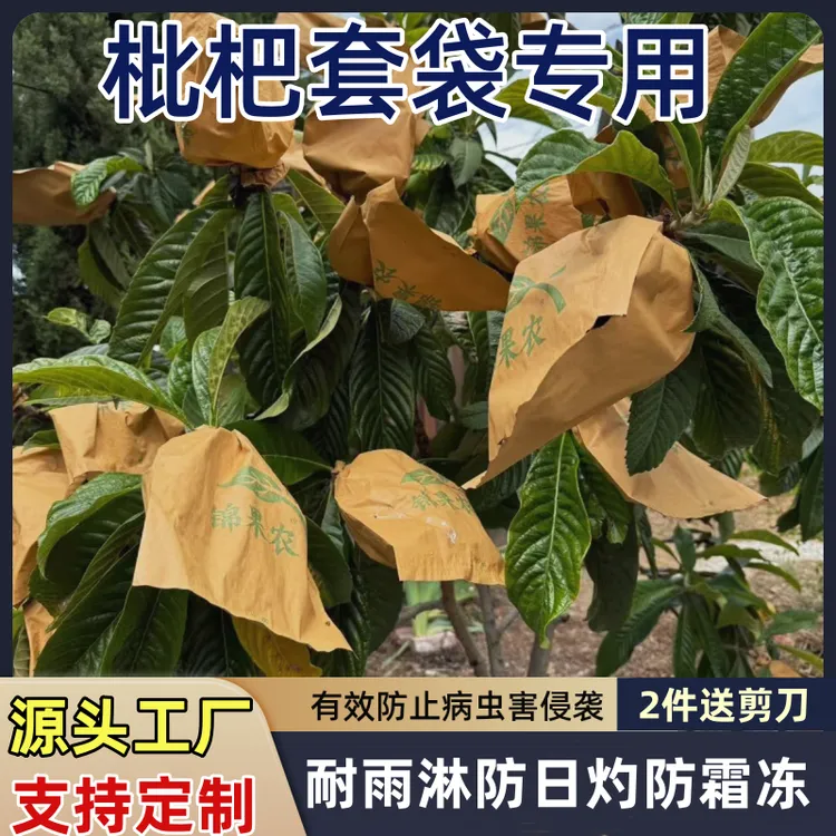 枇杷套袋专用袋防冻防水枇杷袋子多色可选样式齐全