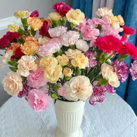 【云舍花卉】【混色】多头康乃馨【不保水】任意满两单及以上鲜花包邮