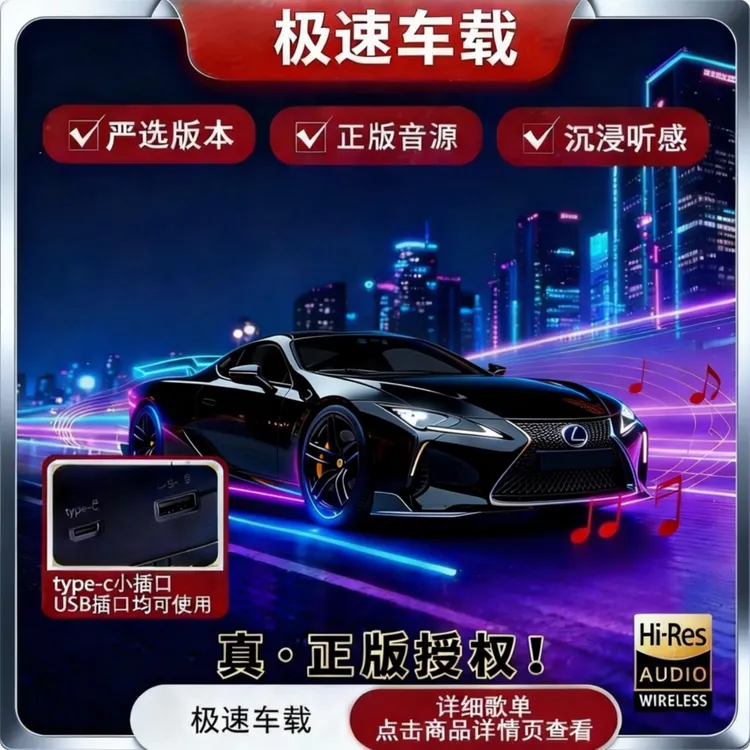 新升级《车载U盘》发烧经典伤感老歌动感DJ重低音享受现场纯净音质商品图