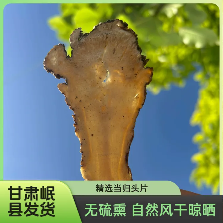 甘肃岷县精选当归头片精选芯片原产地直发煲汤