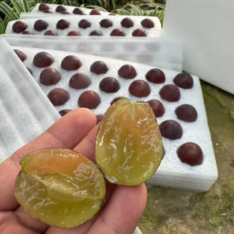 中圣农业21度手掰辽峰葡萄家庭装地标产品