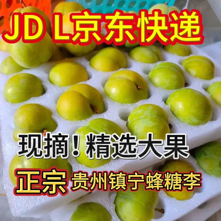 贵州镇宁六马正宗蜂糖李新鲜现摘当季应季水果脆甜多汁