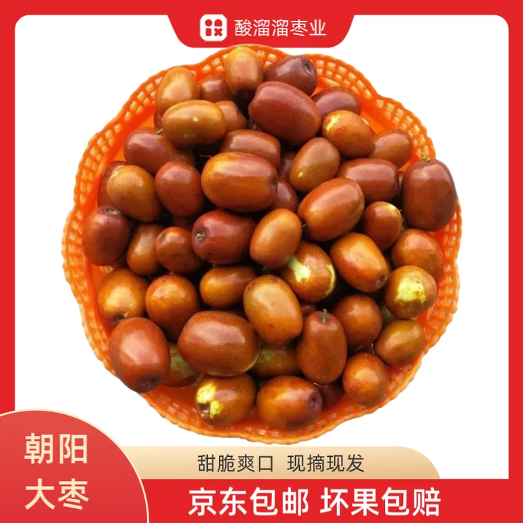 东北朝阳大枣甜脆应季水果礼盒装