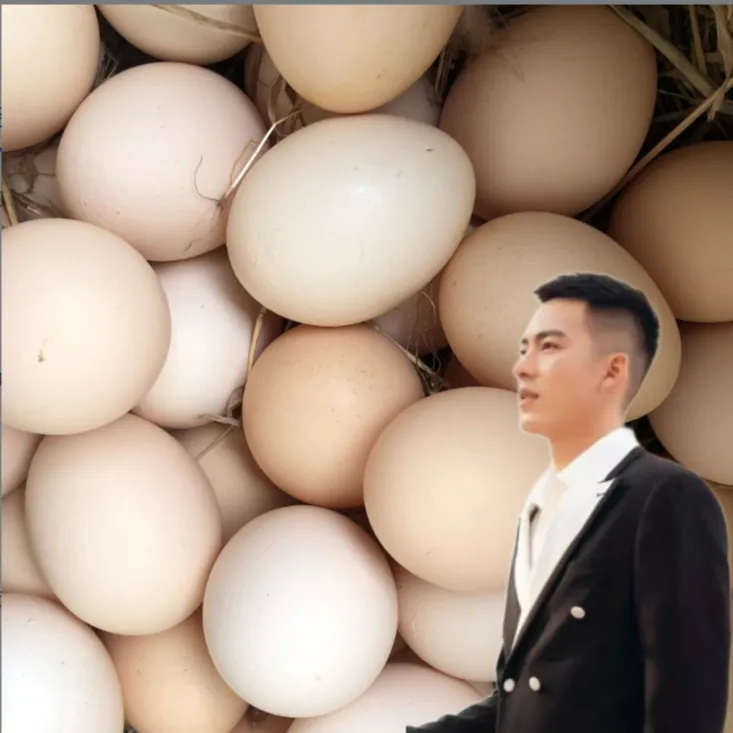 【大壮专属】【山林散养溜达鸡】粉壳山林散养土鸡蛋50枚高品质