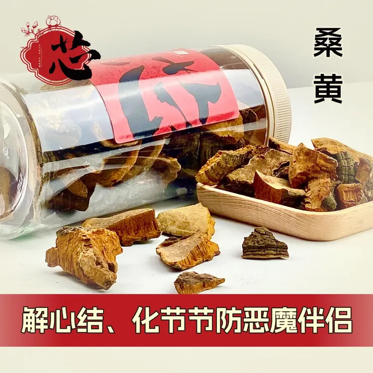 【暖芯轻养】西藏自然生长桑黄桑树灵芝代客切块罐装煮水煲汤