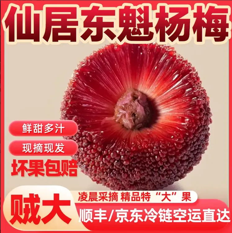 正宗仙居【东魁杨梅】7A大果顺丰冷链新鲜凌晨现采现摘送礼礼盒装