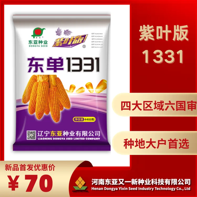 紫叶版东单1331玉米种全国四大区域六国审抗性全产量高