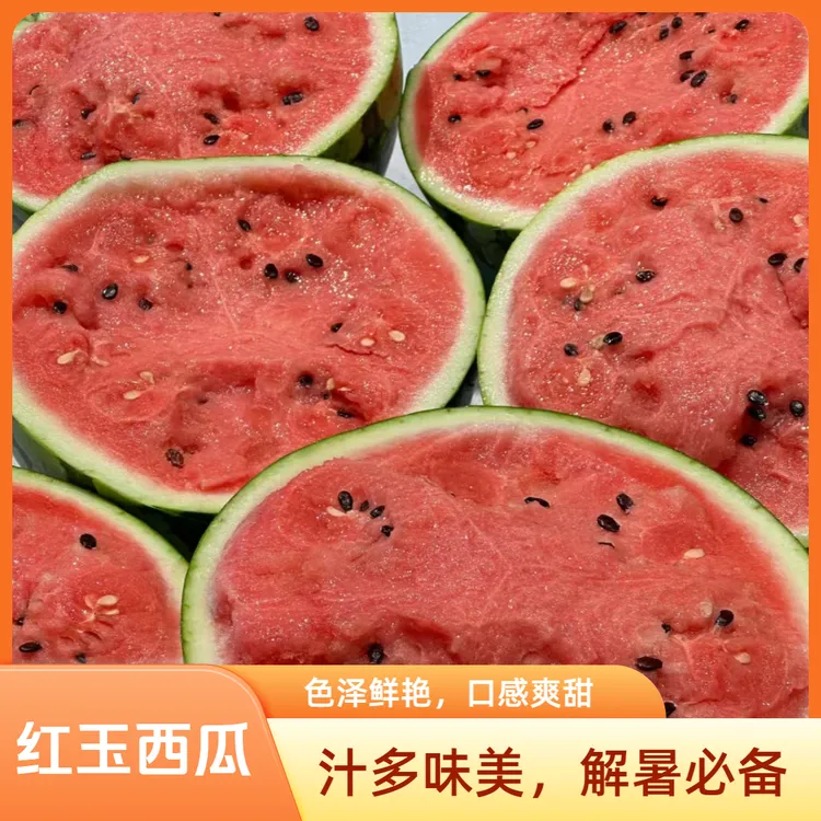 小红玉西瓜种子 皮薄肉厚 易种植 四季蔬果
