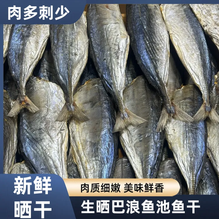 新货巴浪鱼池鱼咸鱼干8成干货干