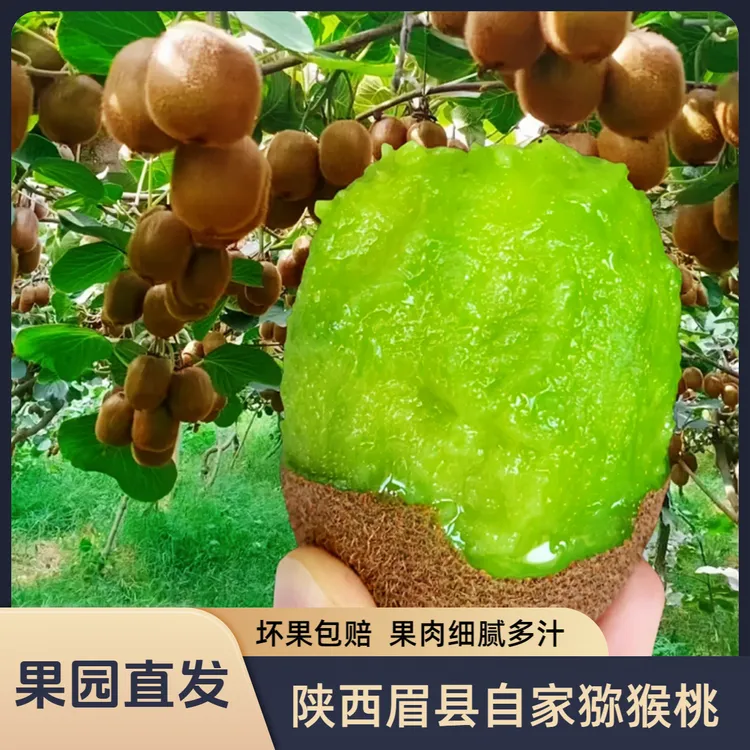果园直供陕西眉县徐香绿心大果猕猴桃新鲜当季水果香甜多汁优选
