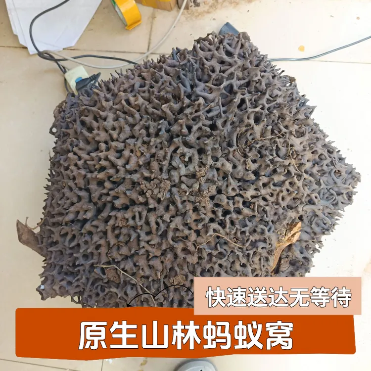  蚂蚁窝 黑蚂蚁巢 缅甸山林原生蚂蚁窝 搞品质蚂蚁窝原料
