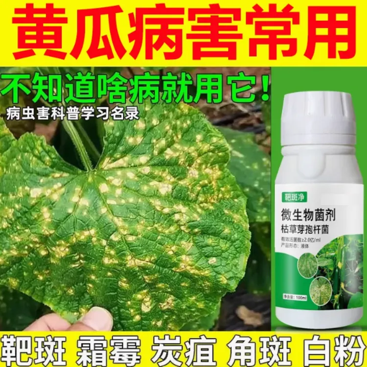 黄瓜靶斑净黄点病角斑病白粉病褐斑病灰霉病炭疽病霜霉水溶叶面肥