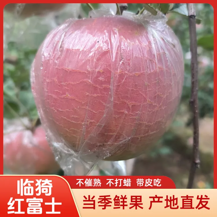山西临猗红富士苹果整箱包邮新鲜应季水果产地直发冰糖心脆甜多汁