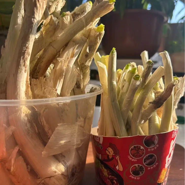 东北小火葱【可以盆栽】【2.5kg+-2两装】