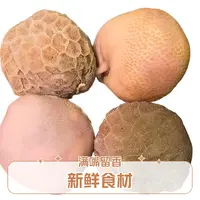 肚包肉 肚香四溢 (羊肉)一斤四个 (拍两斤送鲜韭菜花)