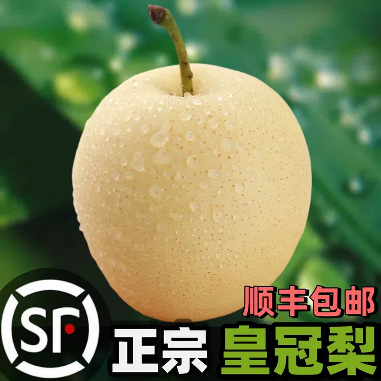【顺丰包邮】河北正宗皇冠梨新鲜应季水果皮薄多汁脆甜产地直发雪梨