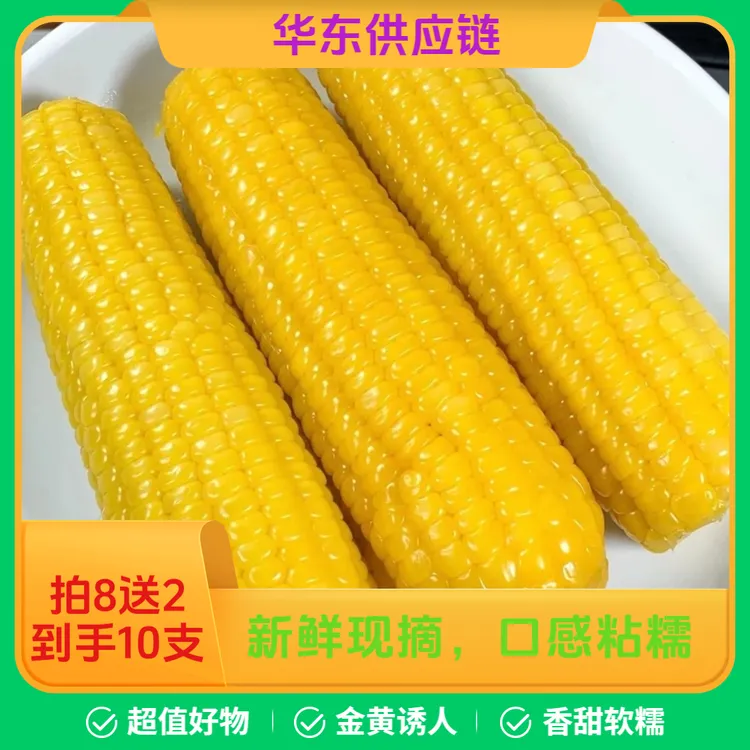25年头茬（试吃2支）正宗黄糯玉米8支黏糯好吃黄玉米真空包装