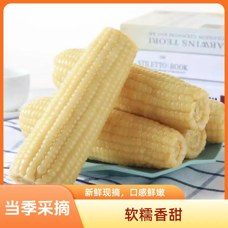 【王炸福利】东北奶香大白糯香甜玉米280克*10棒试吃2棒铝箔包装