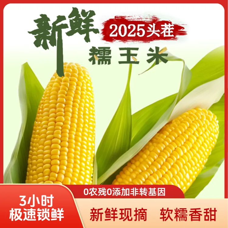 【25年头茬】东北真空黄甜糯玉米280-350克整箱6斤10棒含2棒试吃