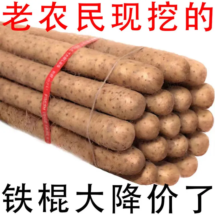 【根根甄选精品大果】正宗铁棍山药粉糯面香产地直供的优质生鲜蔬菜