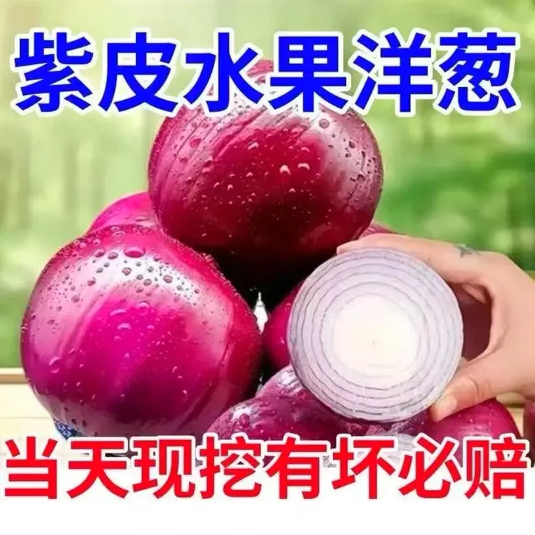 云南紫皮洋葱新鲜水果圆葱甜味蔬菜生吃不辣当季特产5斤包邮