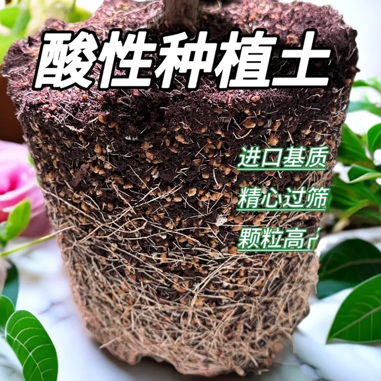 酸性营养土适用于栀子杜鹃茉莉茶花桂花
