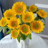 【盼盼鲜花】绿心向日葵 小清晰 一单陆运/两单升级冷链 云南鲜花