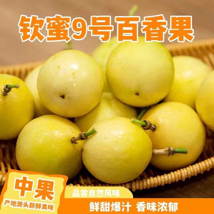 【特惠1级中果】开播福利广西钦蜜9号黄金百香果