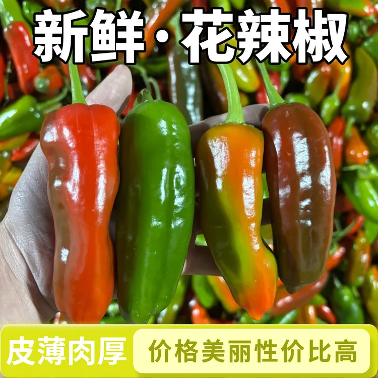 【现摘现发】原产地花辣椒红泡椒青辣椒红线椒农家自种彩椒